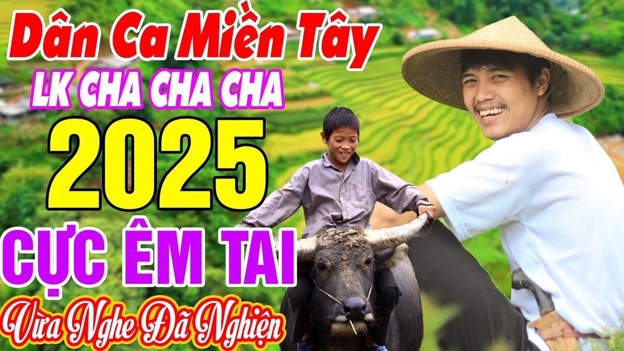 TIỀN THẮNG TÌNH THUA, BUỒN CON SÁO SẬU..LK Dân Cha Cha Cha Quê Hương Miền Tây Chọn Lọc 2025 HAY NHẤT