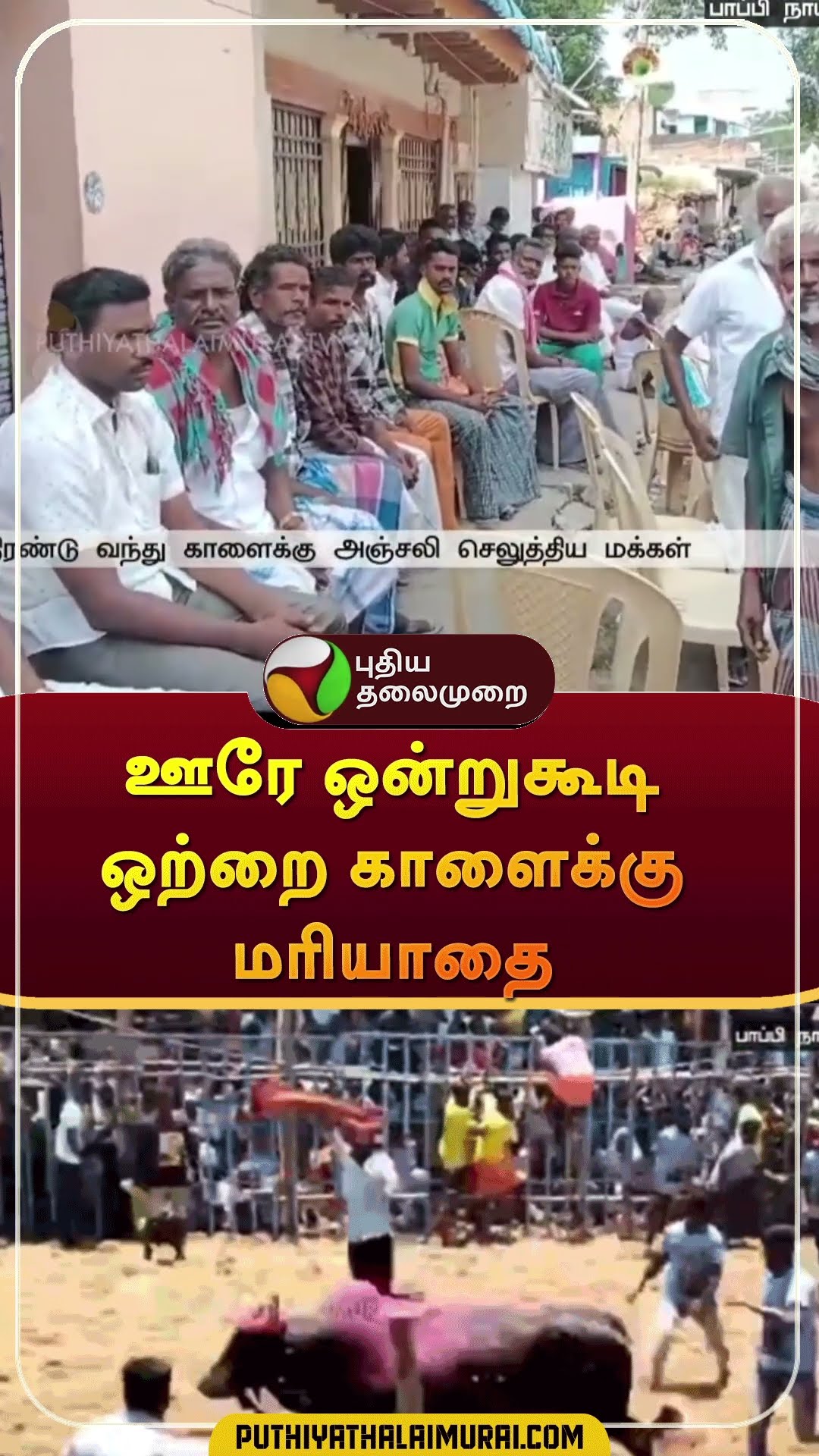 ஊரே ஒன்றுகூடி ஒற்றை காளைக்கு மரியாதை | #shorts | #jallikattu | #bulltame