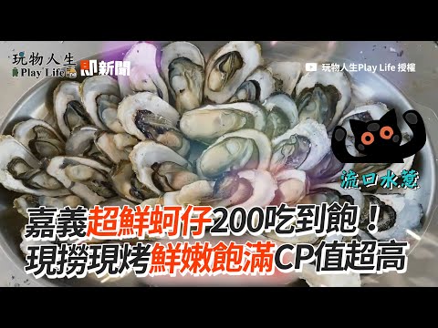嘉義東石蚵仔200元吃到飽　現撈現烤CP值超高｜海鮮｜旅遊｜美食