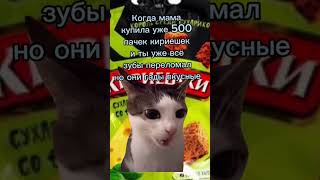 Когда Мама Купила 500 Пачек Кириешек #Мем #Тренд Подпишись Пж(๑ↀᆺↀ๑)