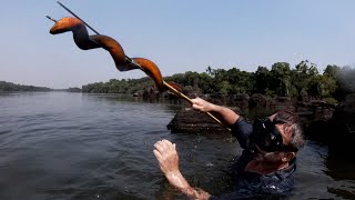 JE PLONGE EN AMAZONIE POUR TROUVER DES APPÂTS - Cyril Chauquet