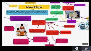 Exposicion del mapa mental de microbiologia