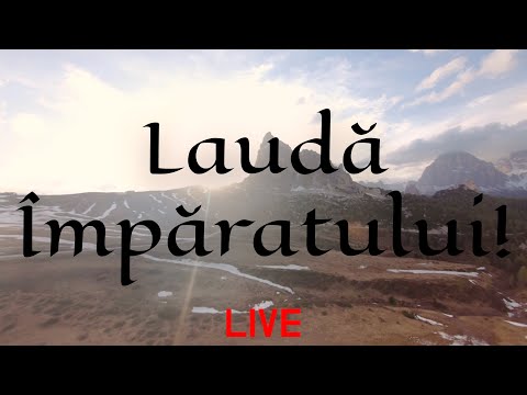 Video: Laudă Mușețelul