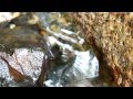 【自然音】せせらぎ(小) - Nature Sound "Babbling Brook Sounds"