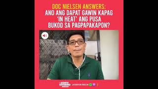 DOC NIELSEN ANSWERS: Ano ang dapat gawin kapag 'in heat' ang pusa? | The Howie Severino Podcast