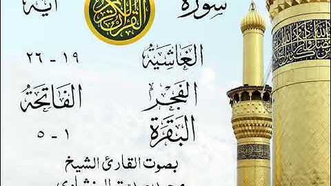 أجمل تلاوة نادرة إبداع الشيخ محمد صديق المنشاوي من سورة الغاشية وقصار السور . نوادر 645 صدى