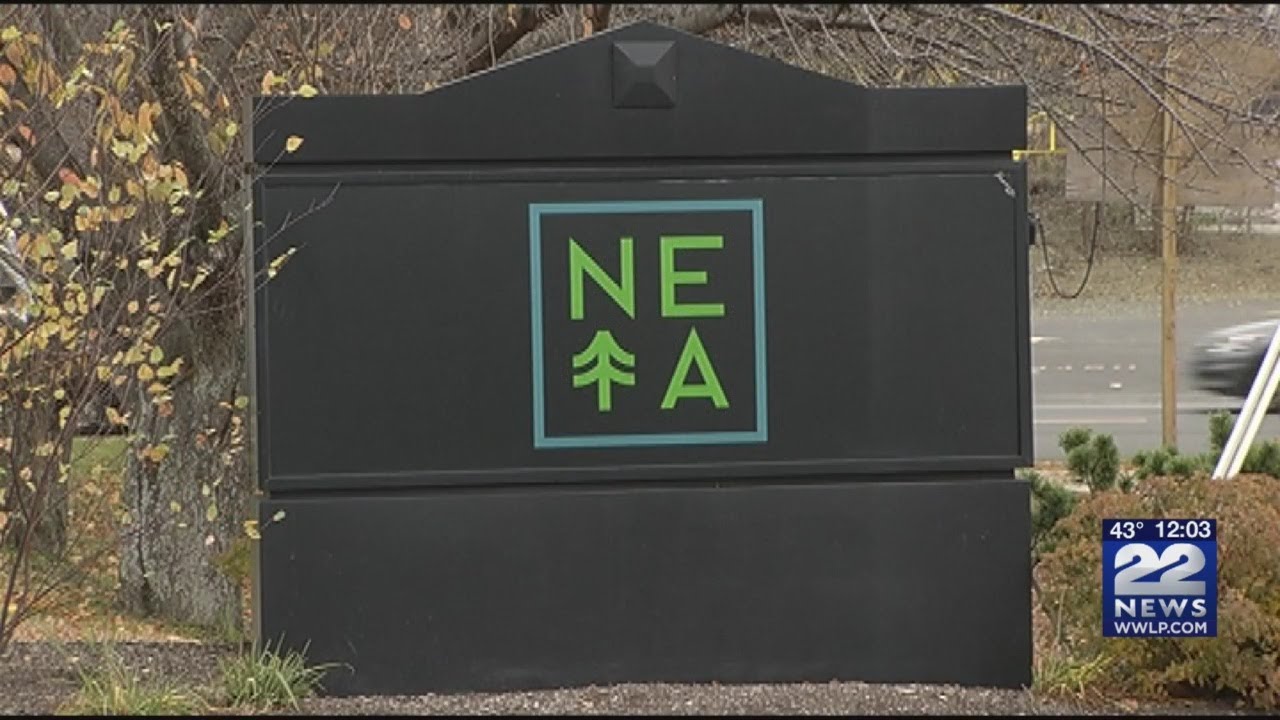 One year since NETA became one of first pot shops to open in Massachusetts