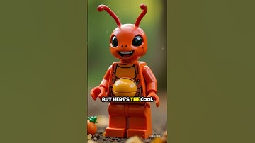 ELI5: How Do Ants Decide Who Gets What Food?