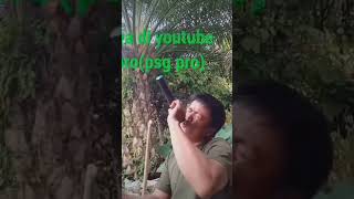 Download Lagu dongan matua cover muliandy sipayung.    #cover #lagu  batak #lagu viral MP3 Download Lagu dongan matua cover muliandy sipayung.    #cover #lagu  batak #lagu viral MP3