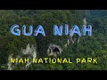 Gua Niah Miri Sarawak Attraction | Virtual Tour | DJI Mavic 2 Zoom | Osmo Pocket | Insta360 One X