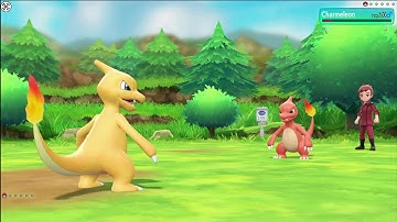 Master Trainers Charmander, Charmeleon and Charizard Pokemon Let