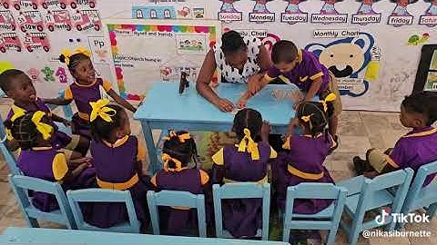 Camella Branche practicum video 