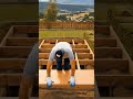 Hidden Underground Container House Build – Start to Finish