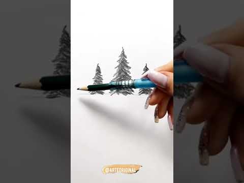 Video: ¿Cómo se plantan pinos lápiz?