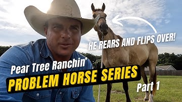 Pear Tree Ranchin 028: Problem Horse Series pt 1, He rears and flips over on the rider!