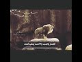 حالات واتساب