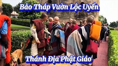 Thầy Minh Tuệ Đảnh Lễ Thánh Địa Phật Giáo Vườn Lộc Uyển Sarnath Tại Ấn Độ ,Rồi Lùi Ra 