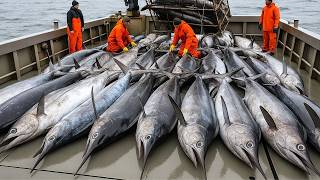 Hoe zwaardvis wordt gevangen en verwerkt | Een kijkje in de wereld van de diepzeevisserij en de z...