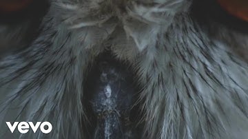 nil significant - cincture