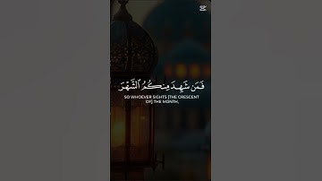 #تلاوة_خاشعة #القارئ#احمدالنفيس #راحة_نفسية #اكسبلور
