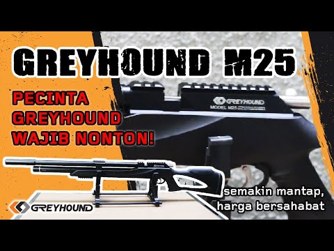 Video: Apakah untuk menonton greyhound?