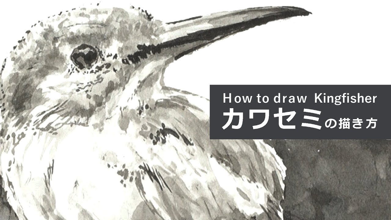 カワセミの描き方 墨絵 How To Draw Kingfisher Youtube