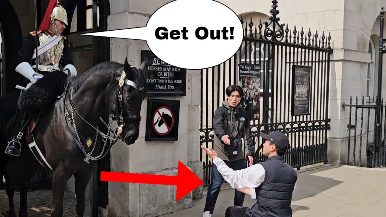 Он позирует вот так внутри коробки, а затем получает то, что заслуживает!