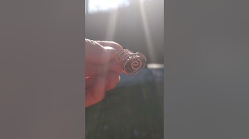 Natural Amber with Fossilized Insects Inside