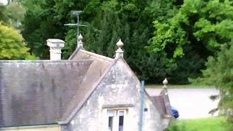 HK-450GT Unedited Onboard Hover Vid In Idle-Up.avi