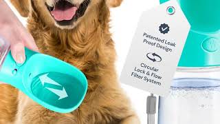 ✈️ TRAVEL IN COMFORT & STYLE! | Henkelion Soft-Sided Airline Approved Pet Carrier Review 🐱🐶 screenshot 4
