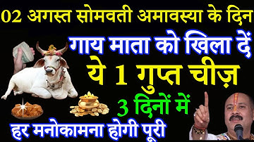 02 सितम्बर सोमवार सोमवती अमावस्या को गाय को खिला दें ये 1 चीज बनोगे करोड़पति - Pardeep mishra