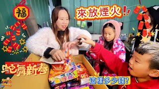 蛇來運轉 種類超多 超好玩 兩大箱煙火這樣多少錢呢？！ 高空煙火 手持煙火 玩具煙火 | 宇你分享 SS family
