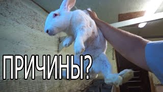 :      