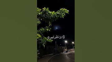 سورة فصلت | الشيخ ماهر المعيقلي