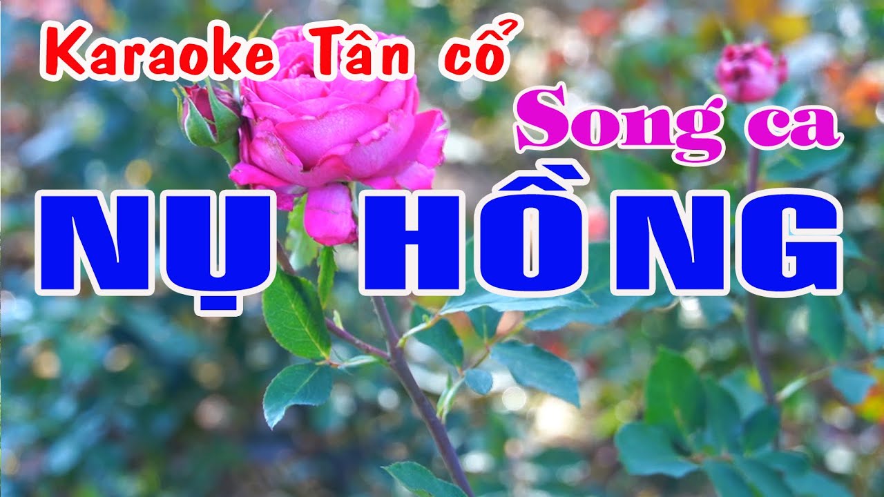 Karaoke tân cổ NỤ HỒNG - SONG CA [Thanh Tuấn & Linh Huệ]