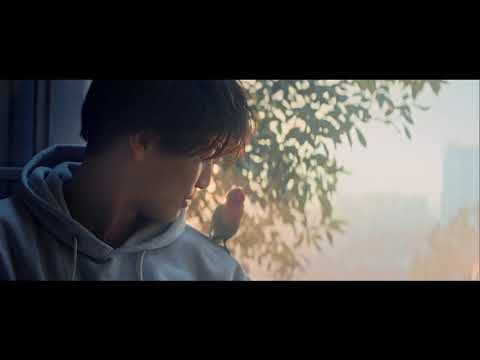 「岩田剛典」が朝オーレ!！！「ブレンディ」スティックのＣＭ "Iwata Takanori" but morning Ole! "Blendy" commercial of a stick
