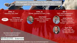Management Considerations for Beef x Dairy Calves; Marketing Dairy Beef