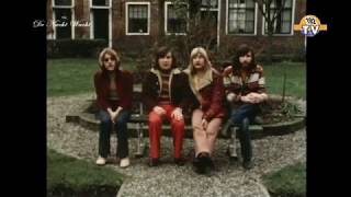 The Cats  Winters End