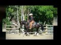 Ryan Rose 4* Senior Parelli Instructor and Senior Horse Development Specialist