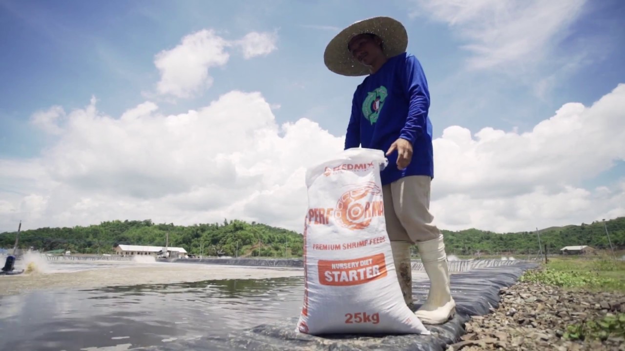 Feedmix Specialist Inc. II 20th Anniversary YouTube