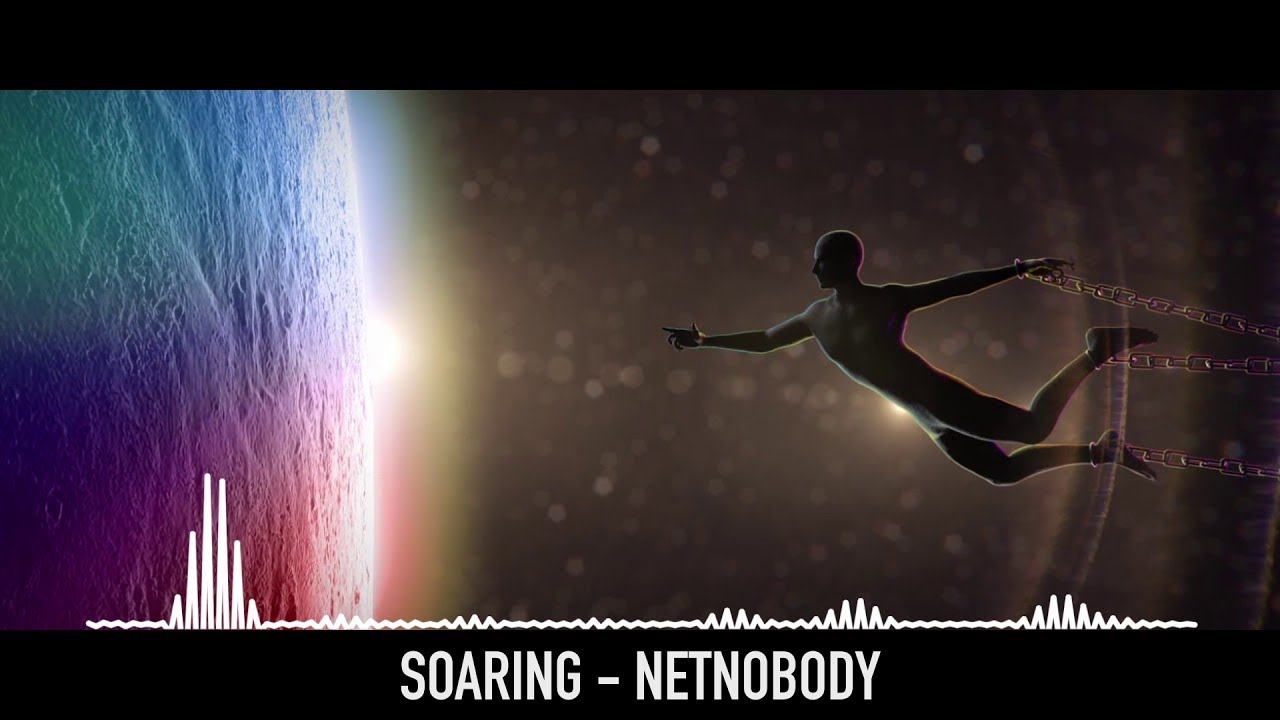 NetNobody "Soaring" (OFFICIAL AUDIO)