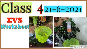 Class 4 evs Worksheet 21-6-2021