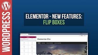 Celebrity Elementor for Wordpress: Flipbox Tutorial Net Worth