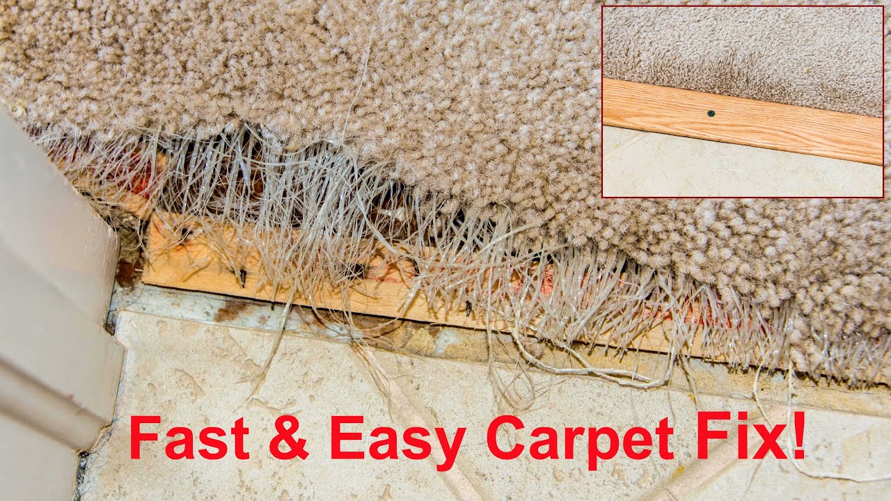 A Step-by-Step Guide on Repairing Damaged Carpet