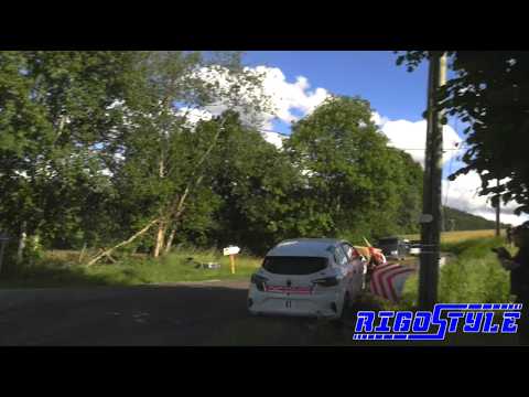 Rallye Vosges Grand EST 2026 Crash show By Rigostyle #rallye #loeb #amazing
