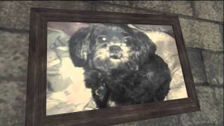 MW3 - Easter Eggs Arcade Game and Lost Vault
