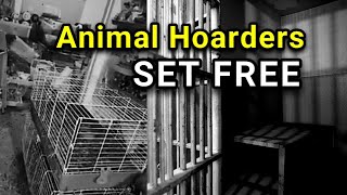 Animal Hoarders Set Free  What Now?