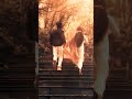 Bugge Bangarama...❤️| Chandamama|#subscribeme#shorts#telugusongs#lyrics#lyricsstatus#trending#songs
