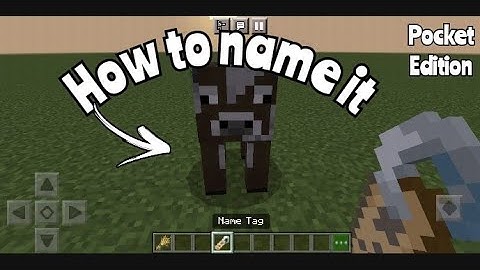 how to name animals, mobs, how to use name tag, how to Make anvil// subscribe