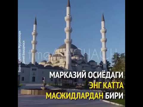 Video: Voronej zavodlari: umumiy ko'rinish, manzillar, mahsulotlar, xodimlarning sharhlari